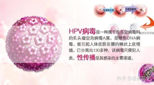 感染hpv,与怀孕冲突吗?