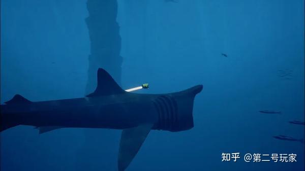 这是一只姥鲨,游戏中的建模将它做得有些可爱,但请不要去搜素它的真实