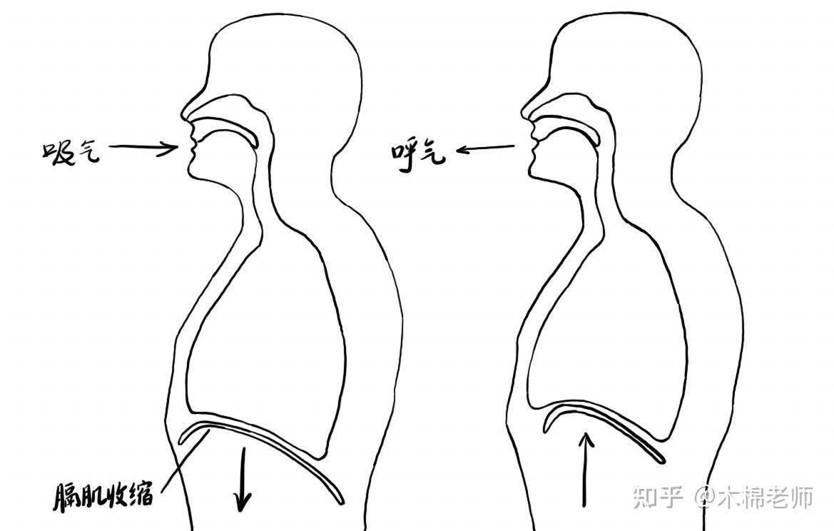 如何训练腹式呼吸