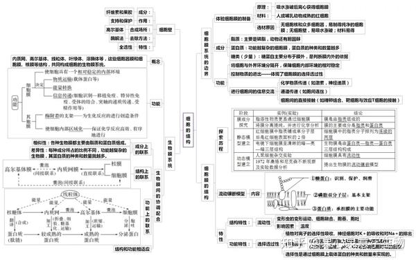 【思维导图】人教版高中生物学必修1