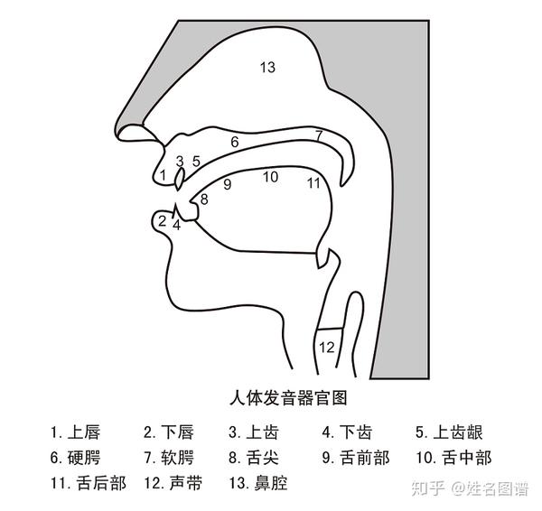 了解现代汉语音韵知识 给孩子起一个好听的名字