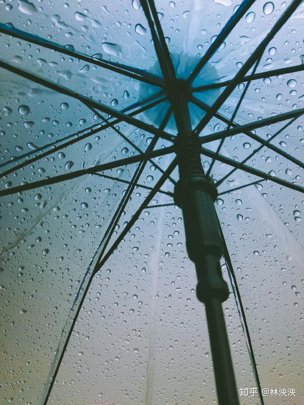 这张是下雨的时候打着伞.