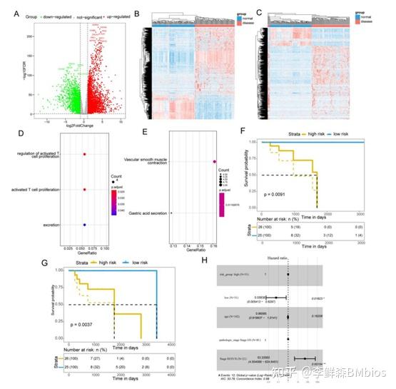 Single Cell Bulk Rna Lncrna Mrna