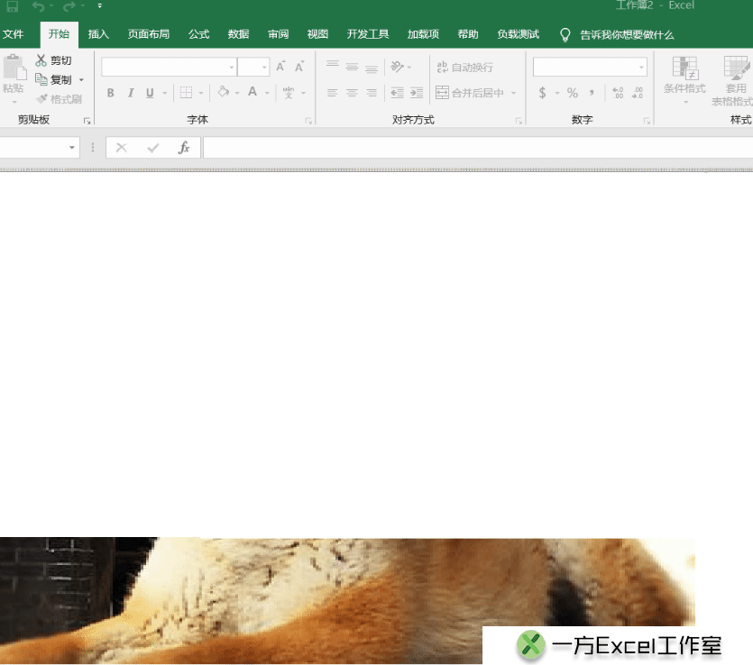 600_530gif 动态图 动图