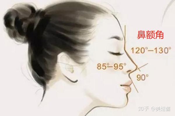 山根起点如何选?鼻额角美学分析