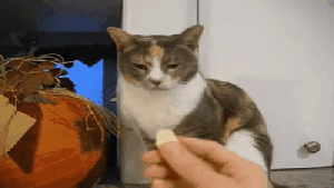 结果就是挨打  图自:reddit