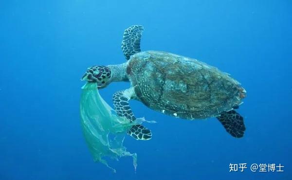 我们的海洋上已漂浮有一亿五千吨塑料,而全球每年流入海洋的塑料垃圾