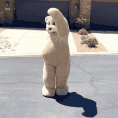 表情包大全跳跳熊跳舞熊的表情包