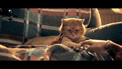 戒掉情绪之后,我过的舒服多了