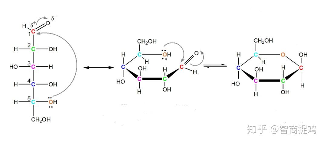 直链型葡萄糖转化为环状(吡喃糖)的反应机理.