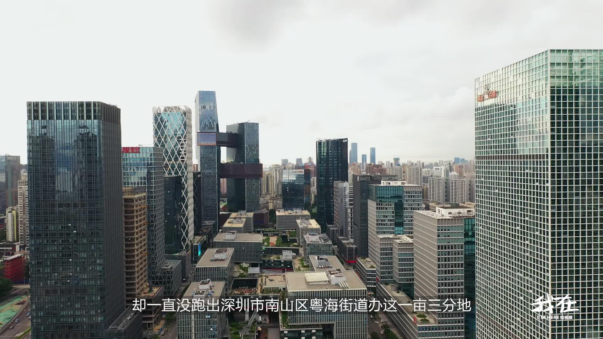 粤海街道位于南山区的中心,处于南山科技园中,面积仅有14