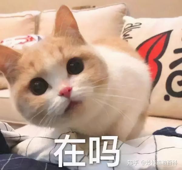 小猫小时候"喵喵"叫是一种呼唤猫妈妈的过来的方法.