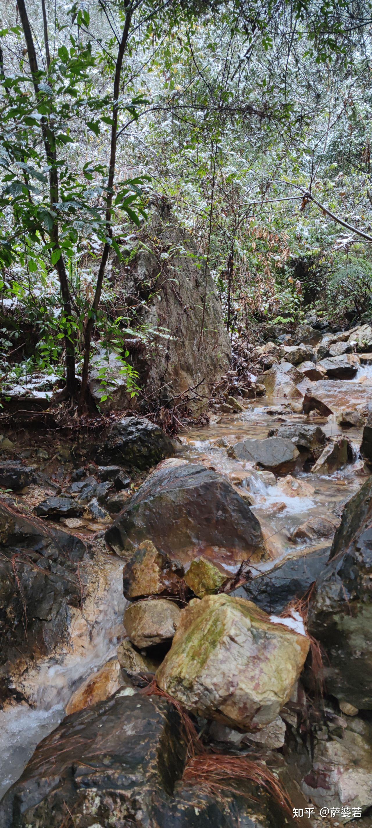 构堂作宇,除繁秽,芟荑奥,植松竹桂卉于庭.