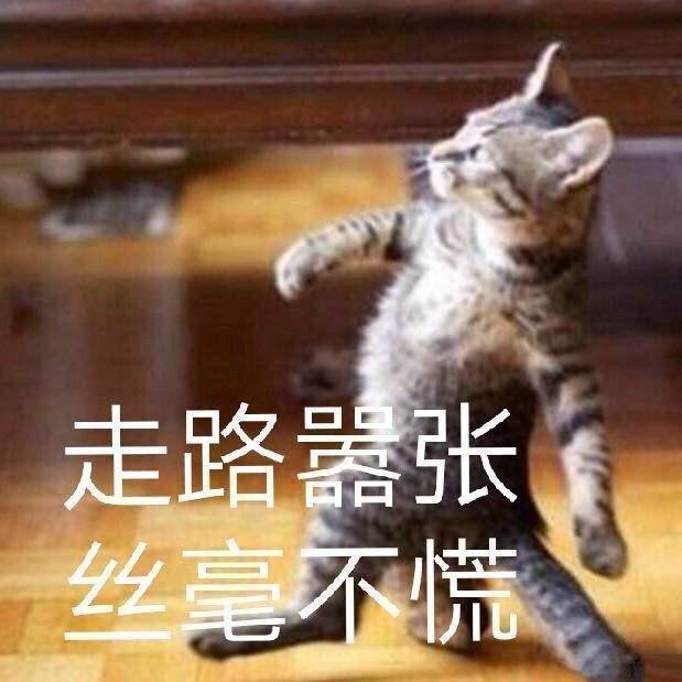 我可是不好惹的