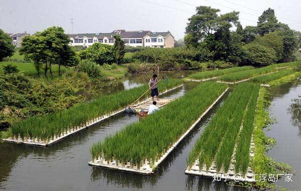生态浮岛作用与生态浮岛施工方案
