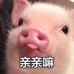 情侣互动必备表情包:你的小可爱已上线,收到了我的爱心了吗
