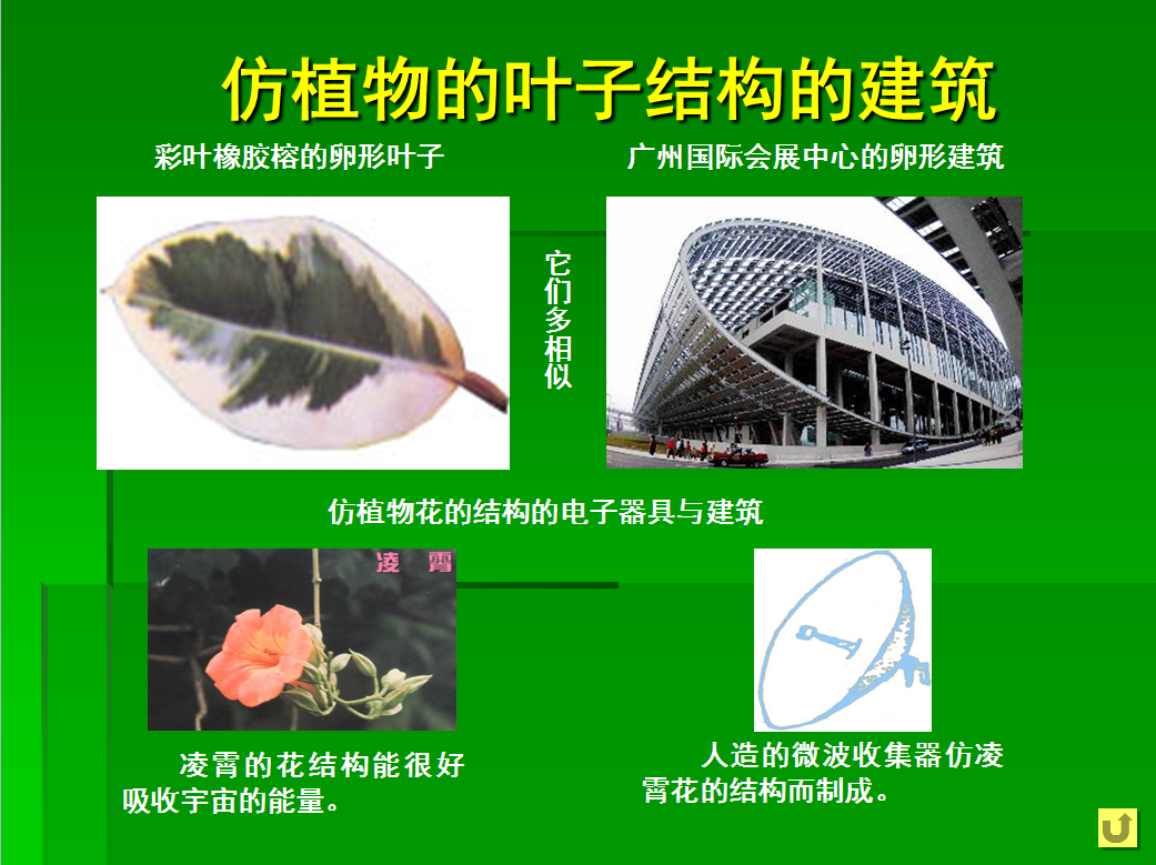 建筑设计与植物仿生学