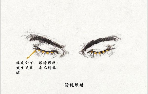 怎样能在素描中画好眼睛