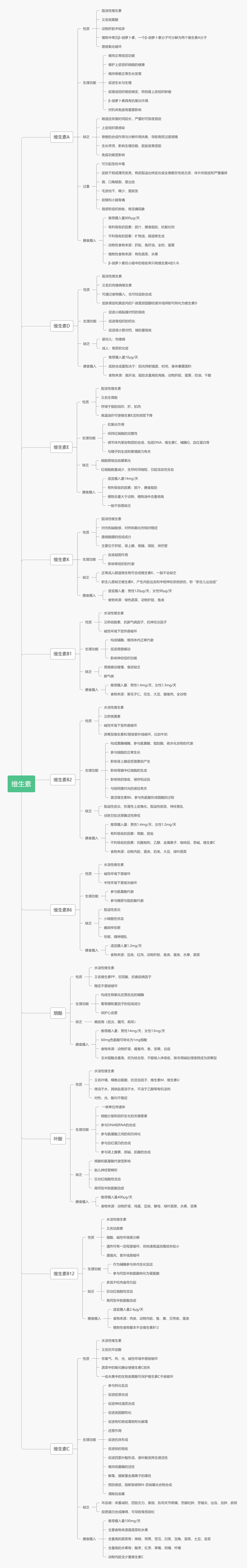 维生素思维导图