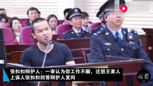 如何看待张扣扣一案二审维持原判,以故意杀人罪,故意毁损财物罪判处