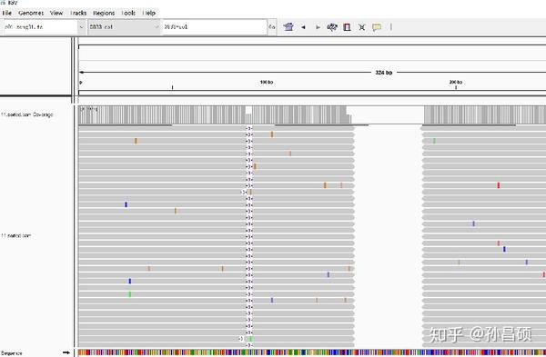 二代测序结果比对后igv观察,可以看到有位点一半的测序输出reads有3个