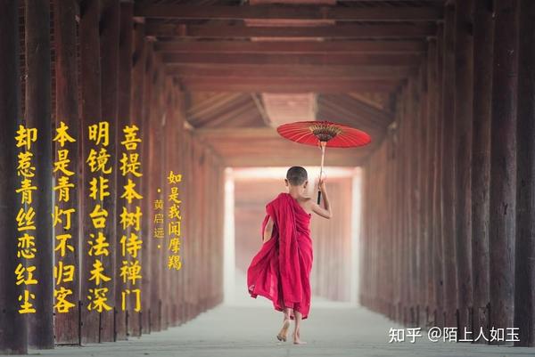 却被人改成了"本是青灯不归客,却因浊酒恋红尘" 因浊酒恋红尘的是猪