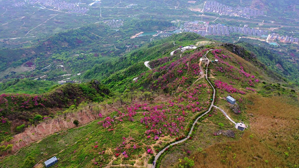 鄞奉交界的白岩山金峨山都是宁波的网红山