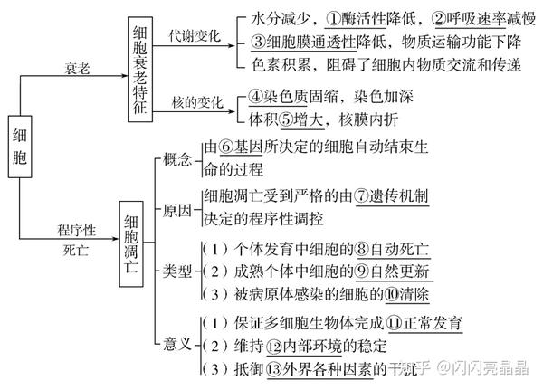 高中生物学大概念:分子与细胞知识结构图,一轮复习必备!