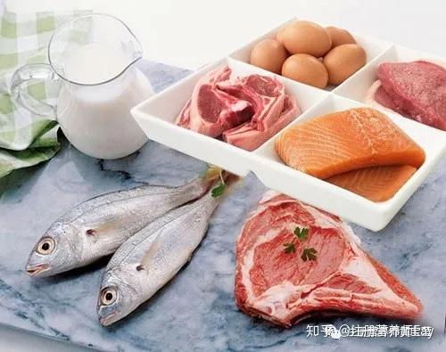 公认的优质蛋白质是乳类,肉类,鱼类蛋白质和大豆蛋白质.