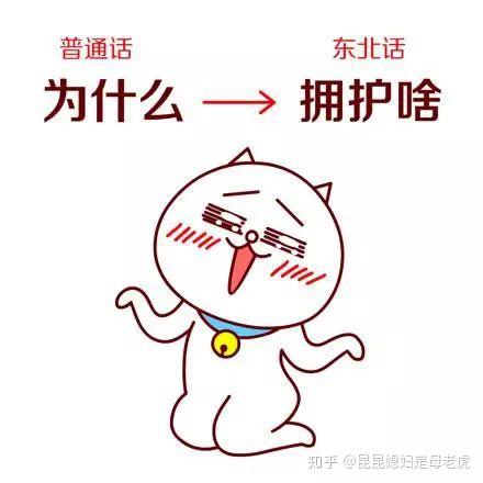 下面会出现一堆关于东北话的关键词,比如说(洗脑的东北话,句句是段子