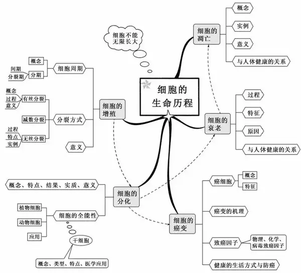 生物丨看透高中生物这20张思维导图轻松拿高分