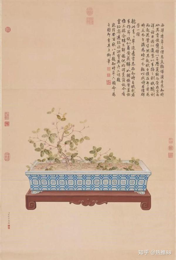 清-郎世宁画海西知时草轴纸本136.6 x 88.6 故宫博物院收藏