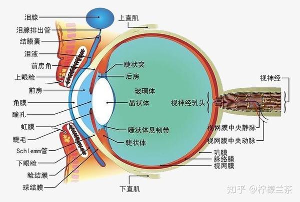 干眼症治疗病理分析及自我疗养已帮助千人好转恢复从零