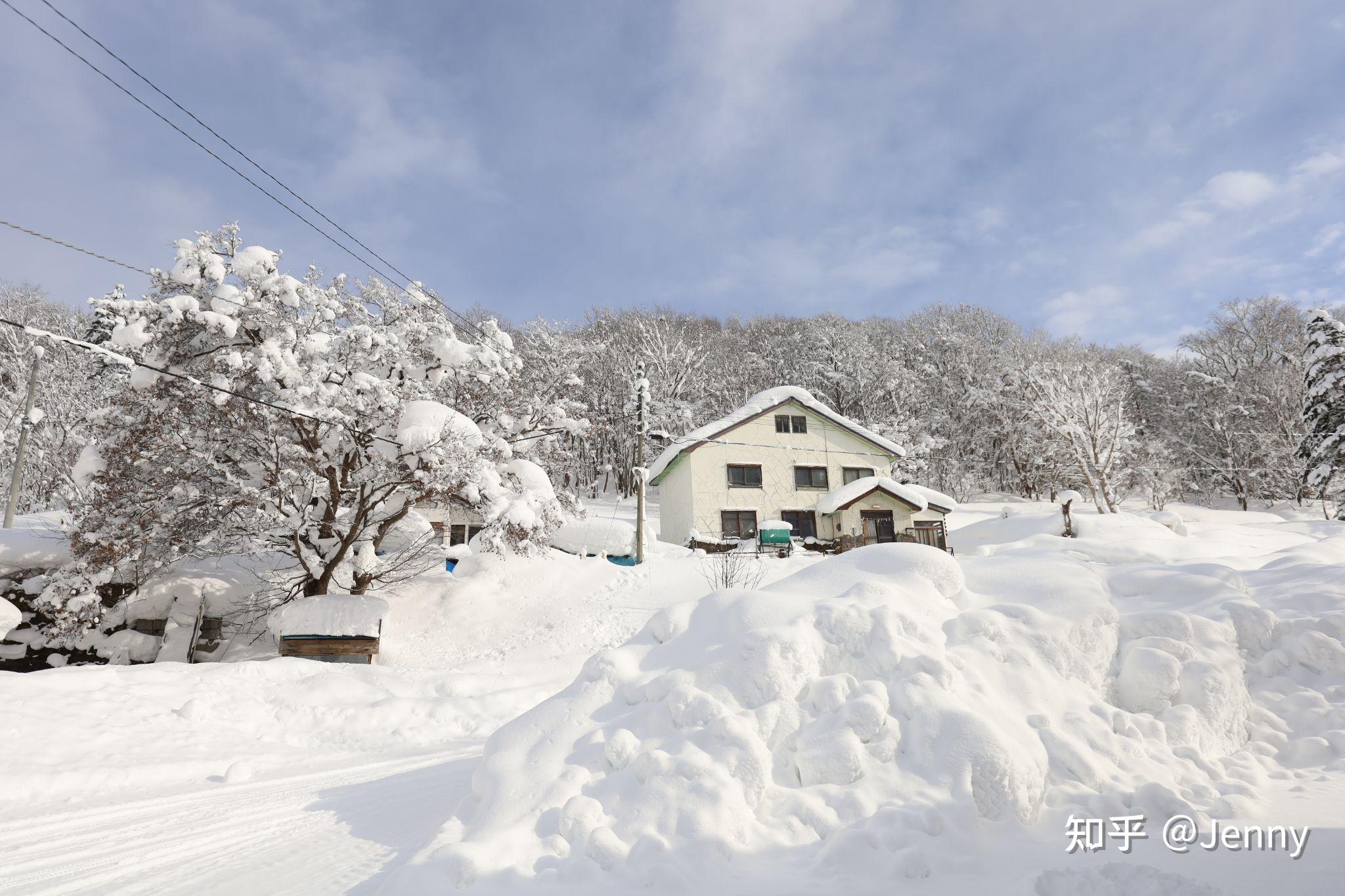 2021年你见过最美的雪景是怎样的