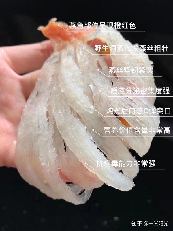 所以根据燕窝营养价值分的话,应该是野生
