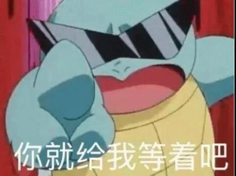 杰尼龟表情包73张