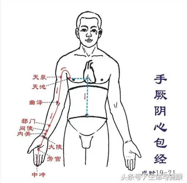 二, 按揉心包经是对心的最好关怀——戌时按揉效果更好