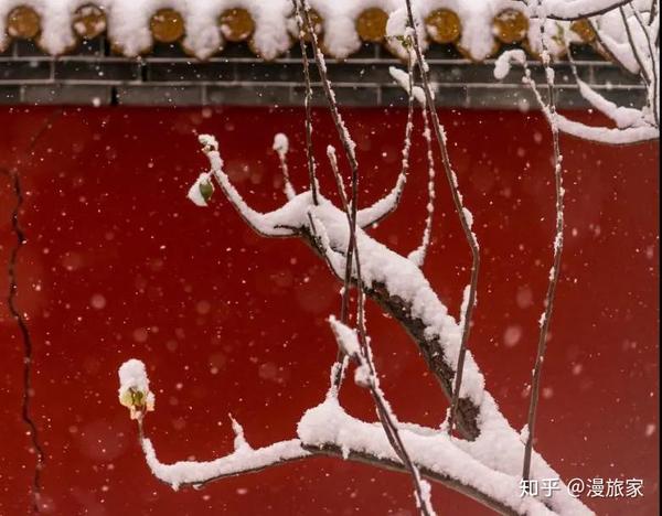 都说一下雪,故宫就美成了紫荆城.