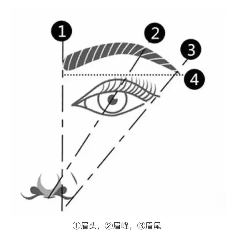 首先我们先来普及一下眉头,眉峰,眉尾到底该画在哪里～在哪里～ 眉头