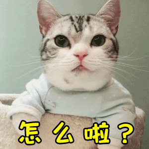 情侣日常聊天段子秀场表情包:你若安好,便是晴天,还能
