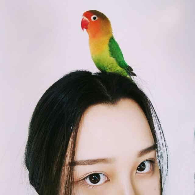 我和我家鹦鹉 是真的鹦鹉哦~我养的  显示全部