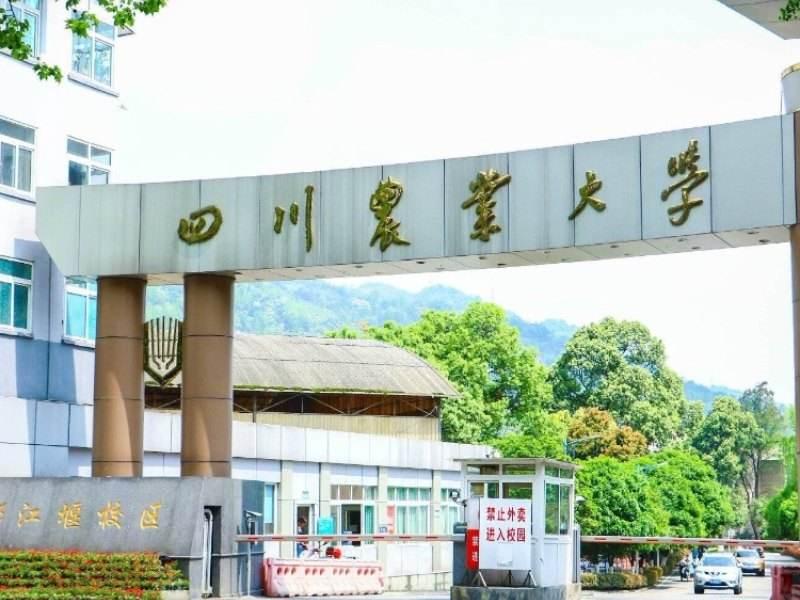 2020-2021年四川农业大学风景园林专业超详细考研经验