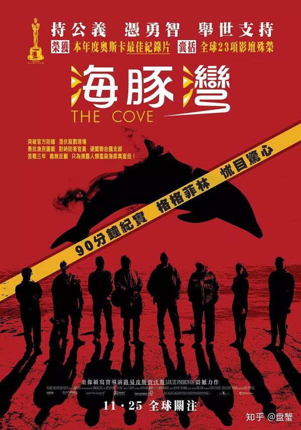 八,海豚湾