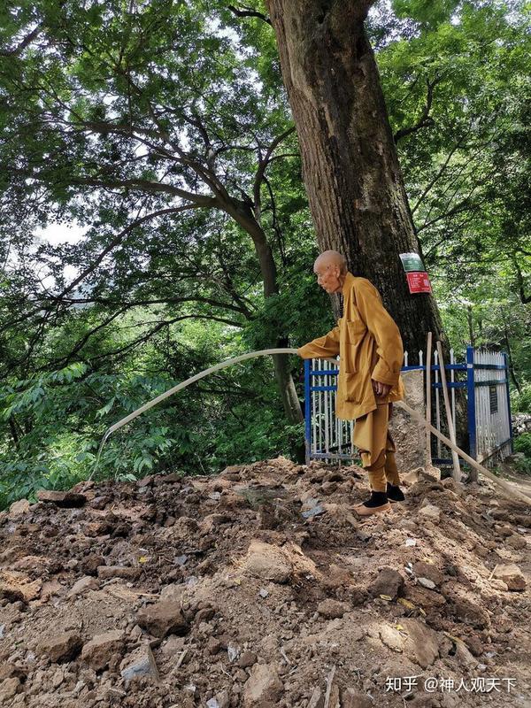 终南山是秦岭以"修行圣地"著称,圣寿寺是圣地里的圣地