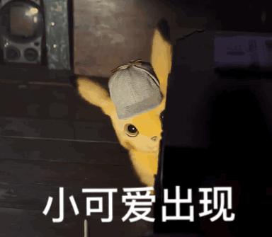 "hello～先揪几个最近遇见的小可爱"