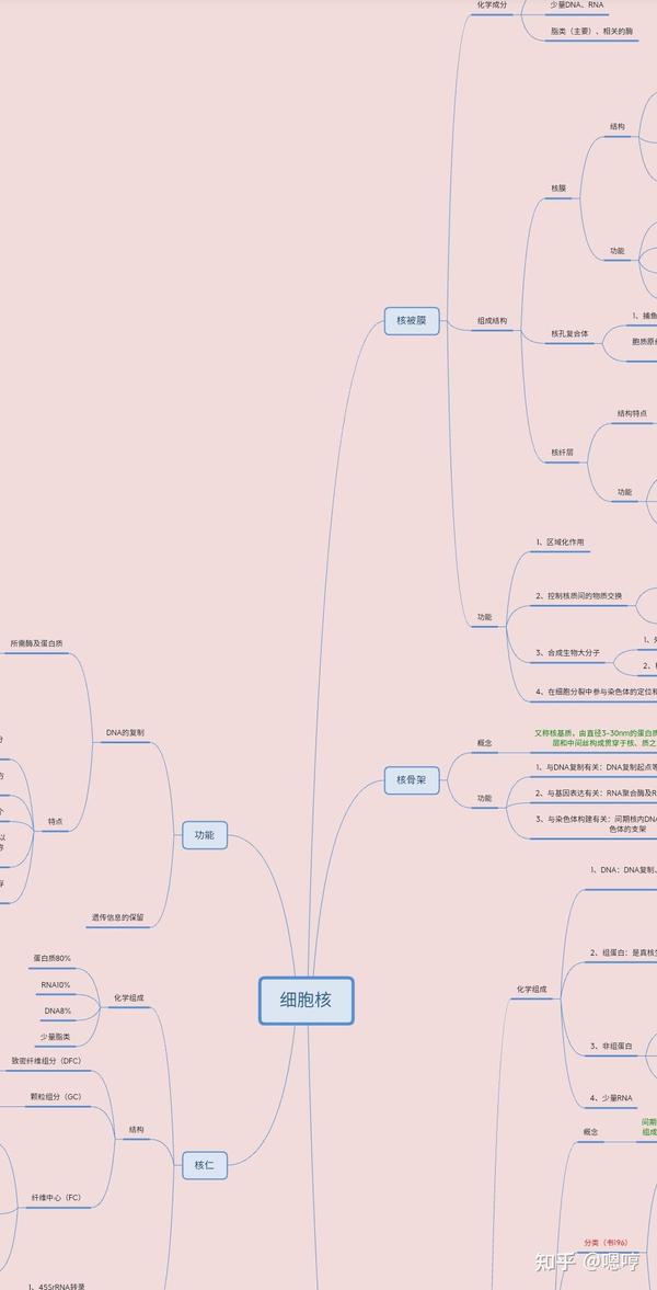 细胞生物学思维导图(一)