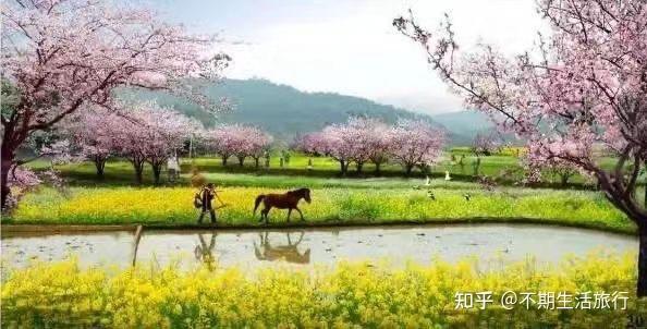 常德走进桃花源体验向往的生活