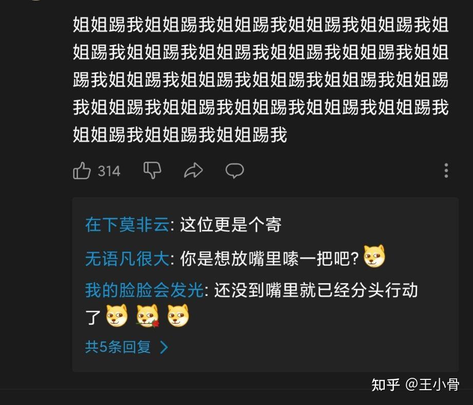 如何评价哔哩哔哩b站up主亲爱的夏