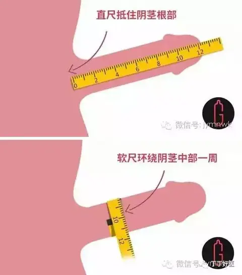 核舟记表格式教案设计方案——唐 尺子君