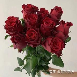 珍爱玫瑰,颜色为亮红色花杆直,无刺,花型小巧可人,花瓣有焦边自然卷